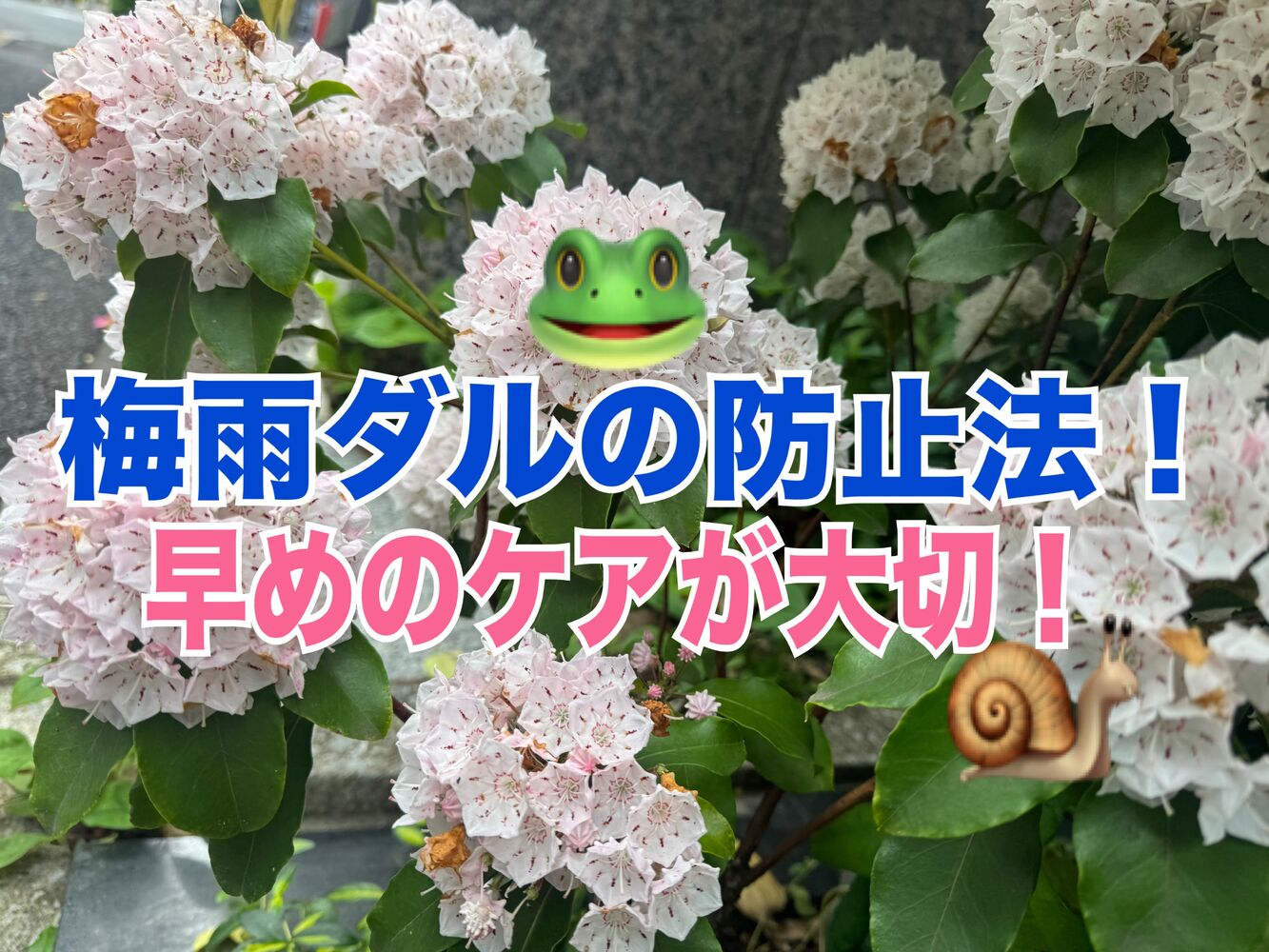 梅雨ダルの防止法！肩こり、頭痛、気になる方、早めのケアしておきましょう