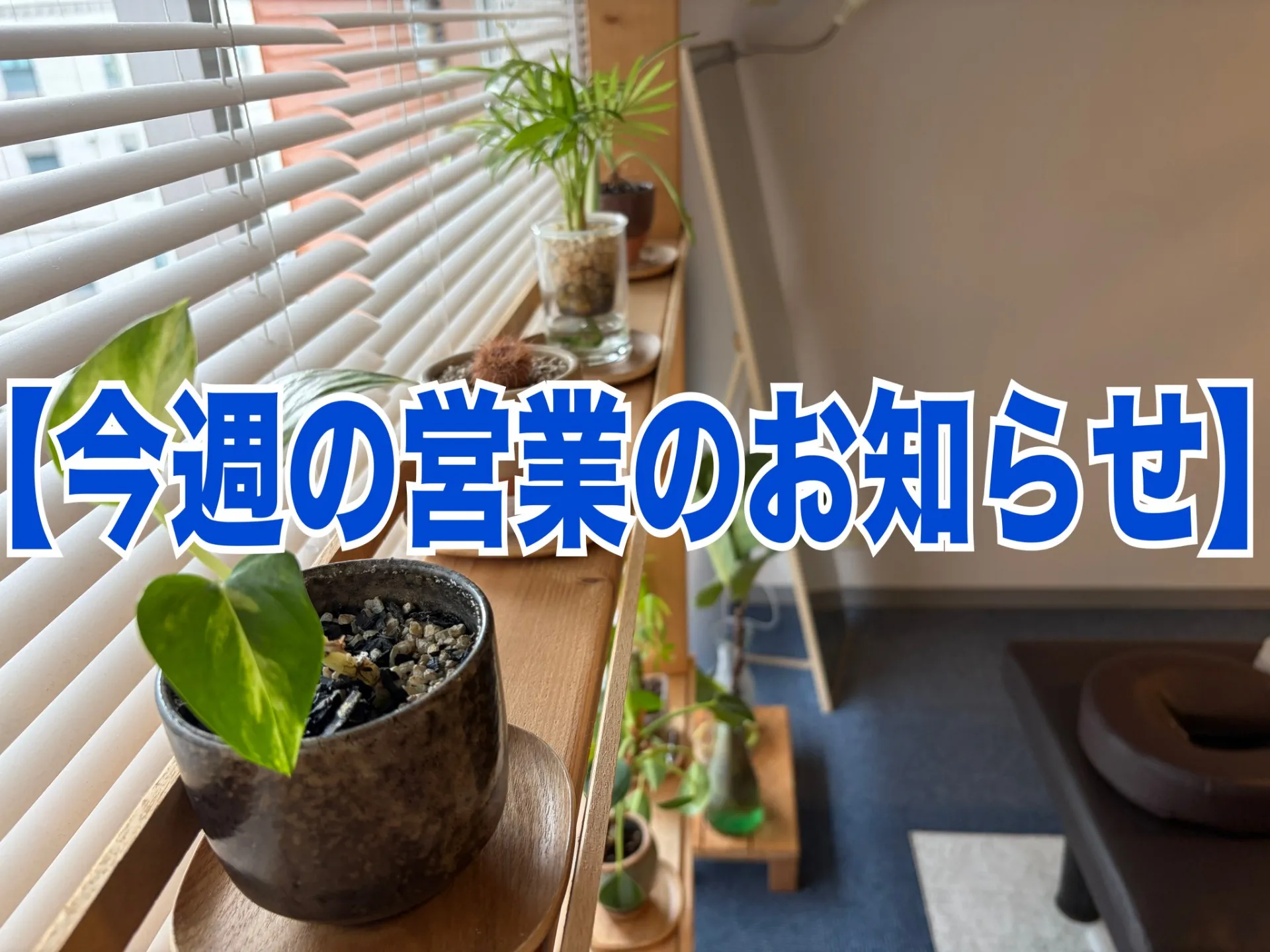 【今週のご予約おススメ時間のご案内】2026/05/19(火)~05/25(月)