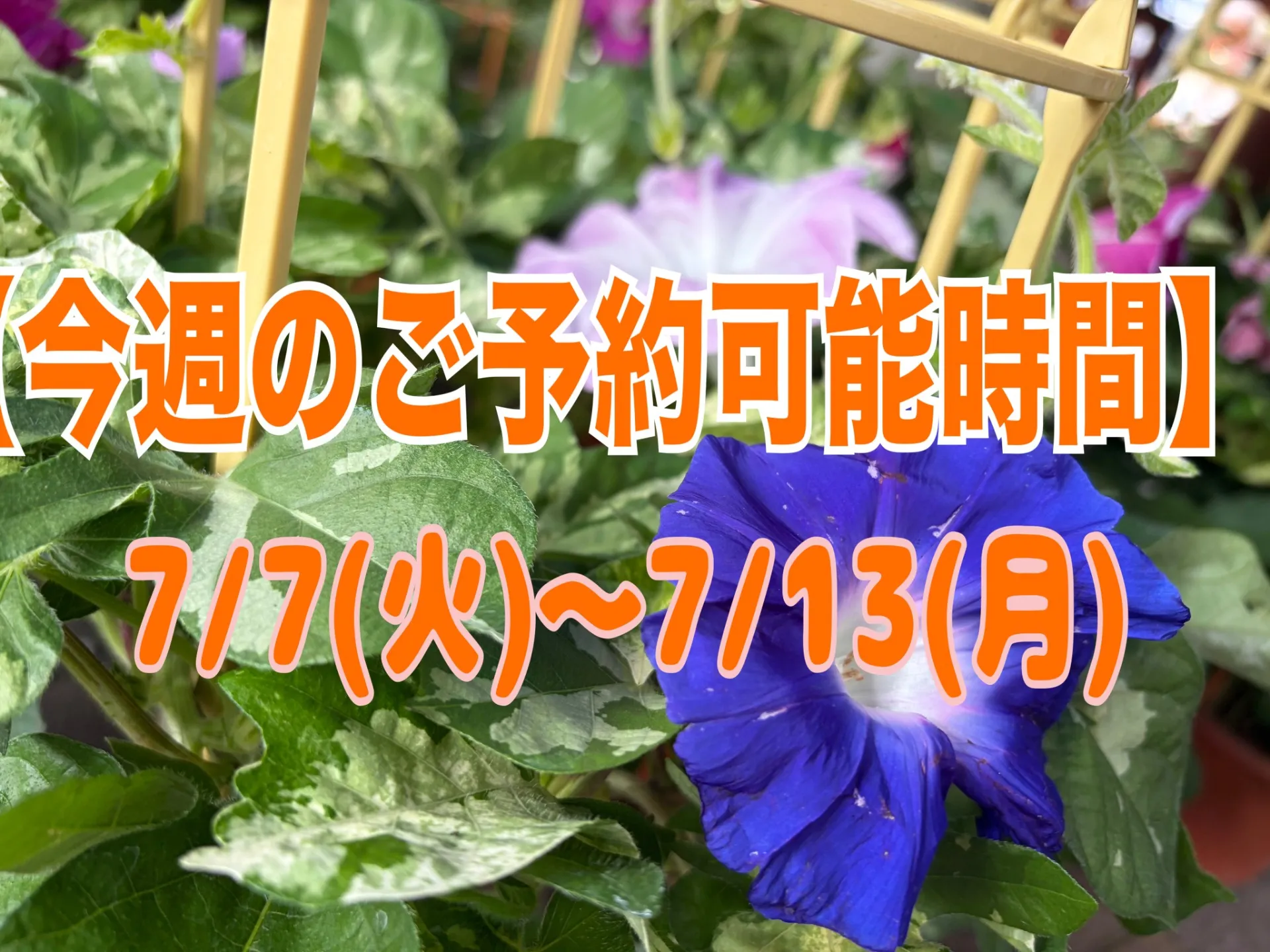 【今週のご予約おススメ時間のご案内】2026/7/7(火)~7/13(月)