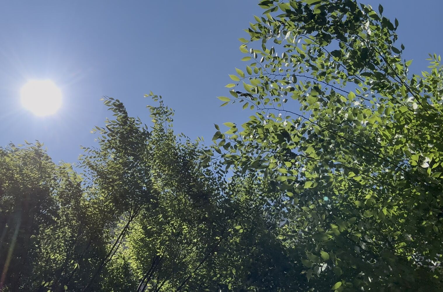 五月病を防ぐための身体ケア対策～首、肩こりからの解放～