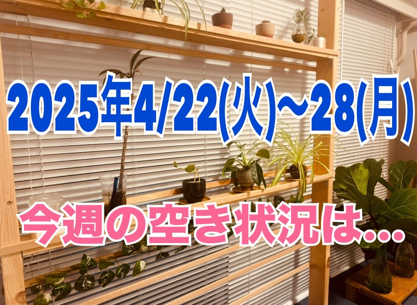 春うつも解消！【今週の空き状況】半蔵門首肩こりスッキリ解消！