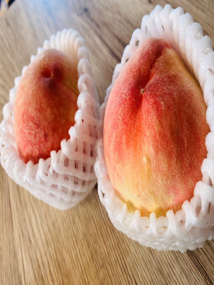 千代田区　半蔵門にある整体院　旬のもので疲労回復