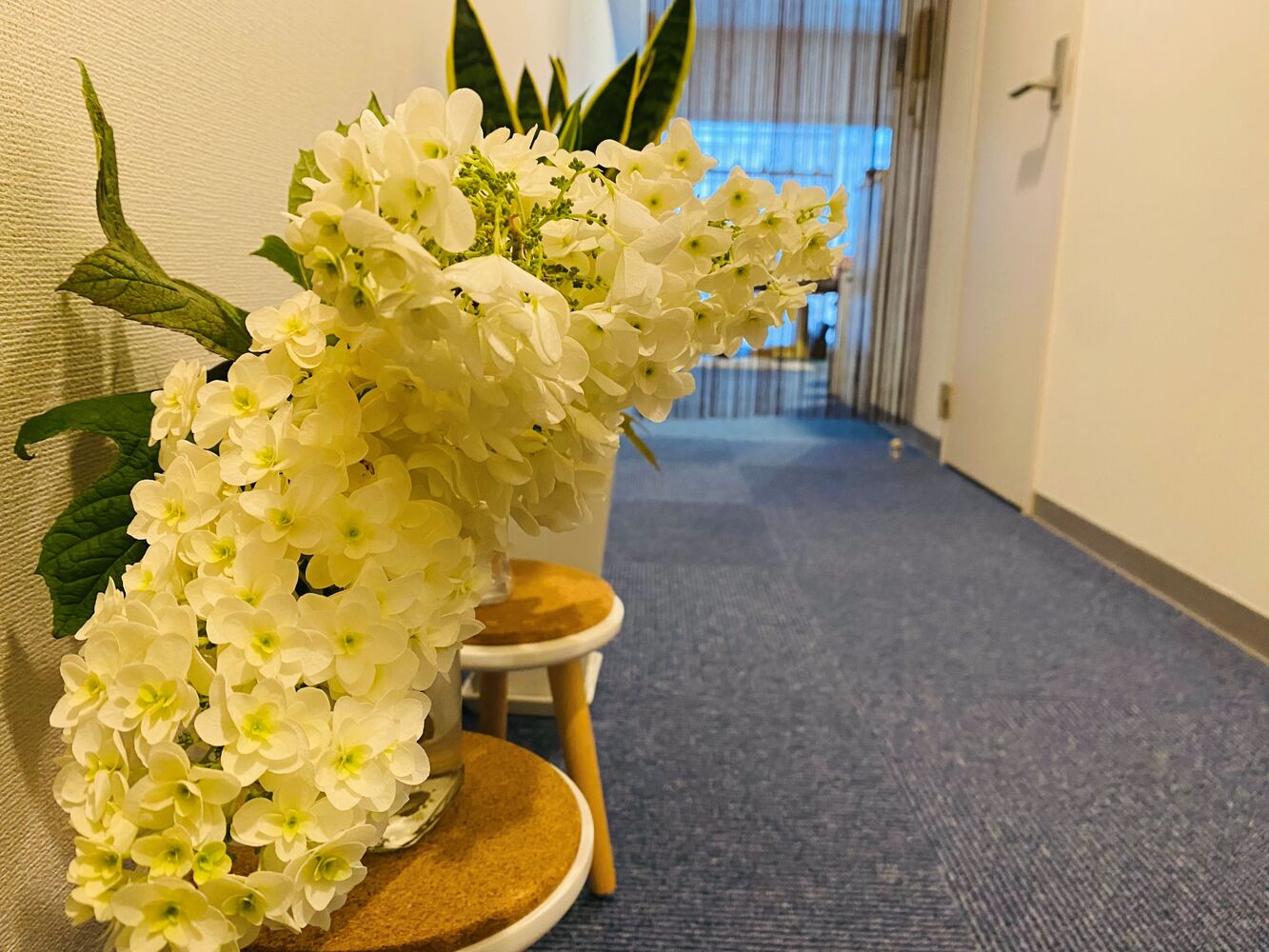 千代田区　半蔵門にある整体院　【６月の営業情報】首、肩こり、腰痛解消