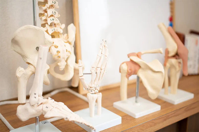 院長から皆様へのごあいさつをお届け